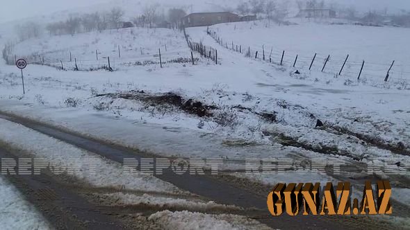 Cəlilabada ilk qar yağdı - FOTO