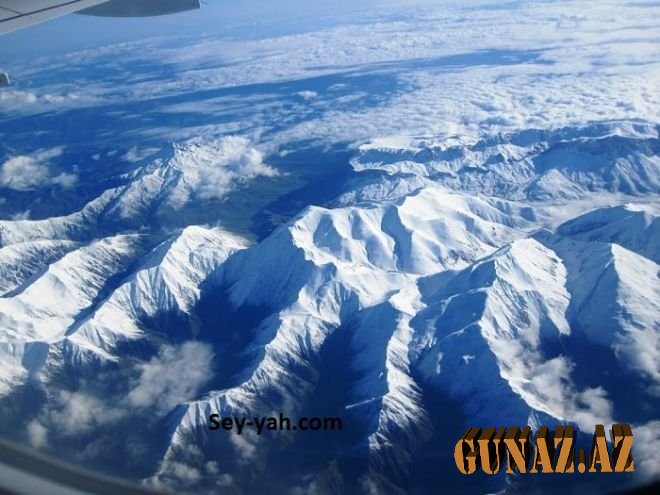 Elmə məlum olmayan heyvan növləri tapıldı