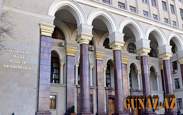 Ermənistan Azərbaycan kitabxanalarına 20 milyon dollar zərər vurub