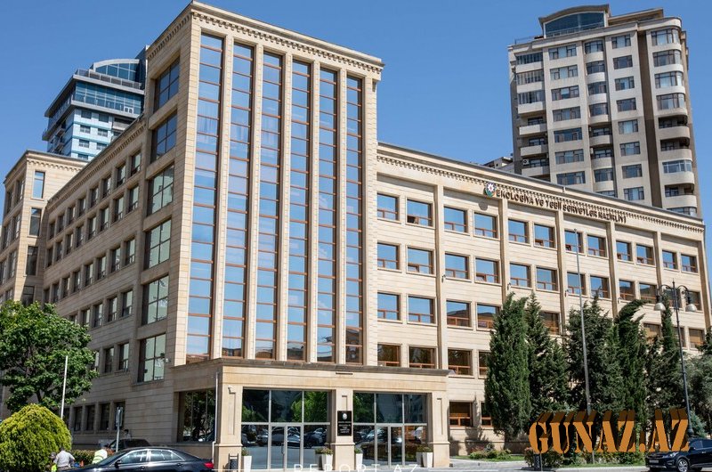 Yeni Aparat rəhbəri təyin olundu