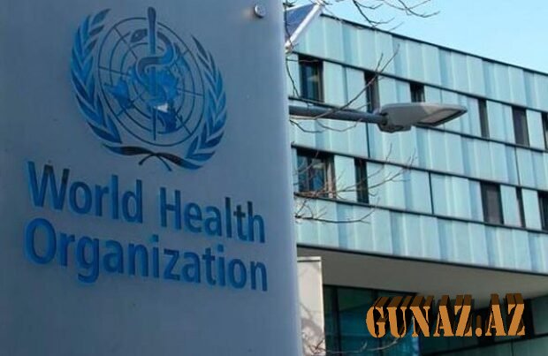 Koronavirus Çində yaranmayıb - ÜST