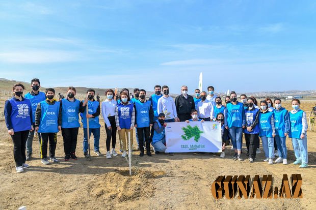 İqtisadiyyat Nazirliyinin əməkdaşları “Yaşıl Marafon” kampaniyasına qoşuldu - FOTO