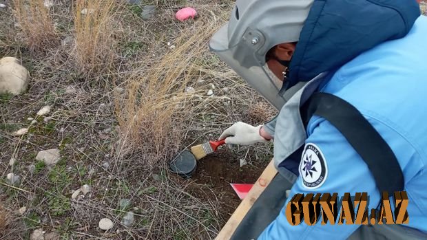Ağdamda neçə hektar sahə minalardan təmizlənib? - RƏSMİ