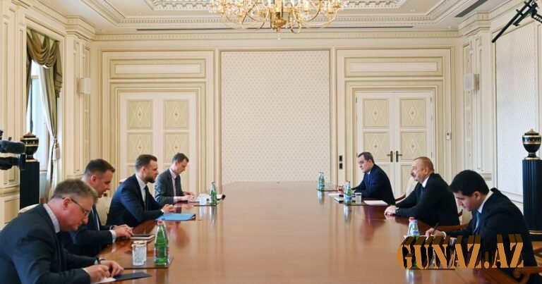 Prezident Litvanın xarici işlər nazirini qəbul etdi