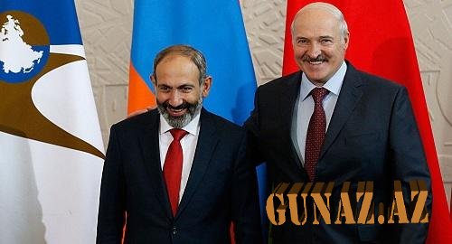 Lukaşenko Paşinyanı təbrik etdi