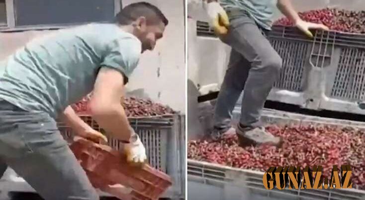 Bu görüntülər ölkəni ayağa qaldırdı- İYRƏNC MƏNZƏRƏ