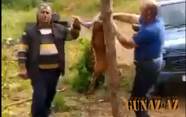 Laçında cüyür əti yeyənlər SAXLANILDI
