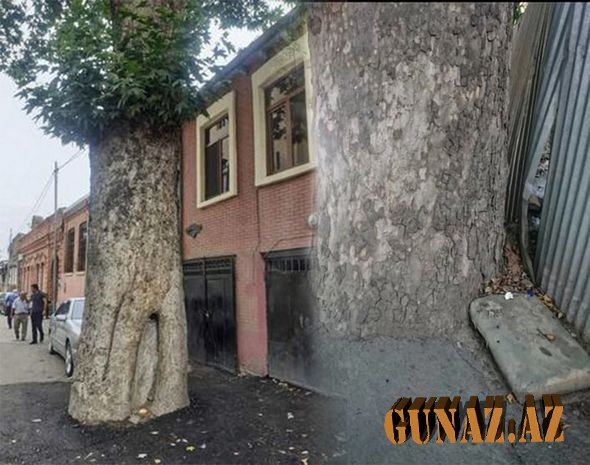 Sosial şəbəkələri alt üst edən hadisə- GƏNCƏDƏ...