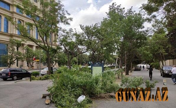 Bakıda güclü külək fəsad törətdi