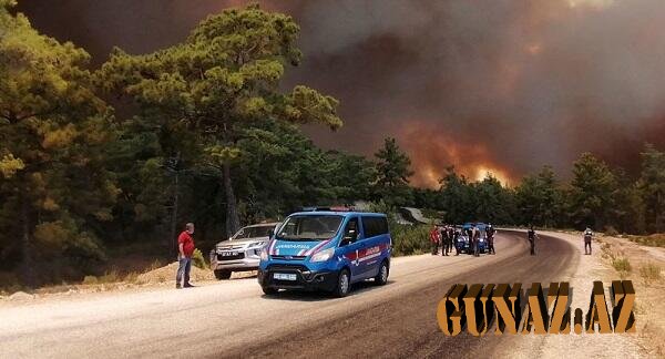 Türkiyədə yanğınları PKK törədib? - 3 səbəb