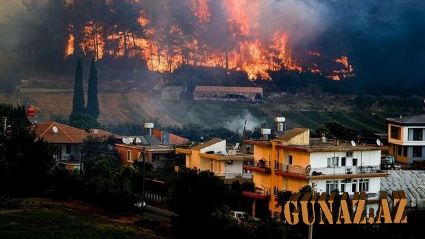 Türkiyədə meşə yanğınları zamanı xəsarət alanlar içərisində azərbaycanlı var?
