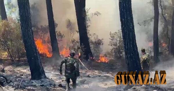 Yanğına görə azərbaycanlılar üçün “qaynar xətt” yaradıldı