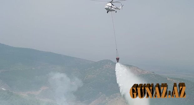 Lənkərandakı meşə yanğını söndürüldü