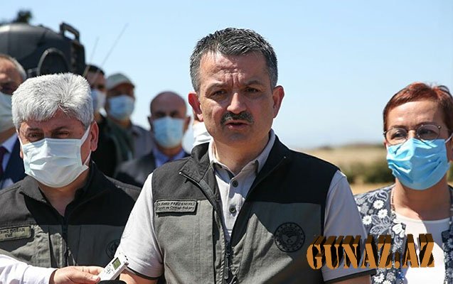 Türkiyədə yanğınlarla bağlı son vəziyyət açıqlandı