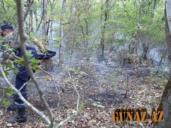 Ağsu və Şamaxıda yanğınlar yenidən başladı