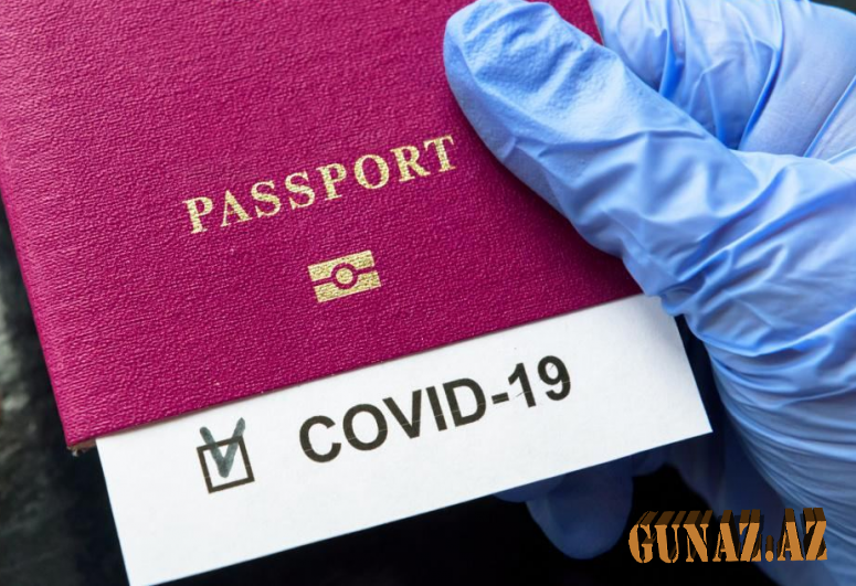 Daha 4 müəssisədə saxta pasport verənlər saxlanıldı