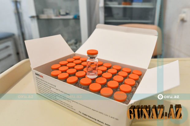 Süd verən qadınlar peyvənd oluna bilərmi? – Ginekoloq açıqladı