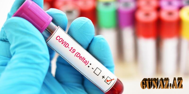 Ana olmağa hazırlaşan aktrisa deltaya yoluxdu