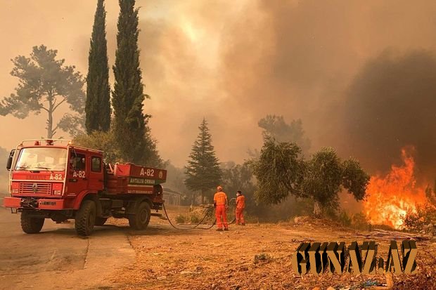 Antalyada ildırım meşə yanğınına səbəb oldu