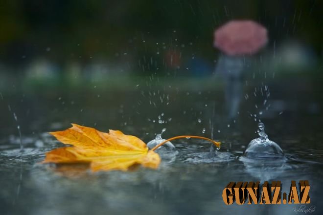 Rayonlara yağış yağacaq, çaylarda sel olacaq - ETSN