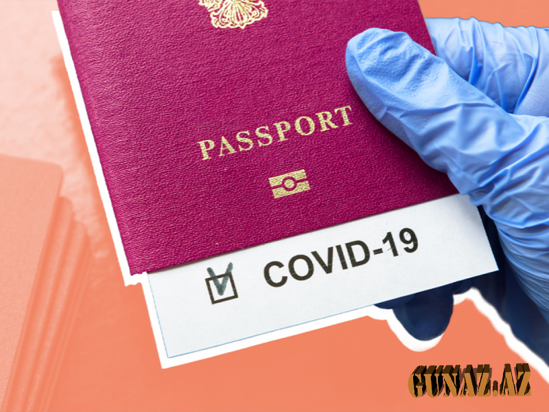 COVİD pasportunun saxtalığını yoxlayan cihaz gətiriləcək?- RƏSMİ