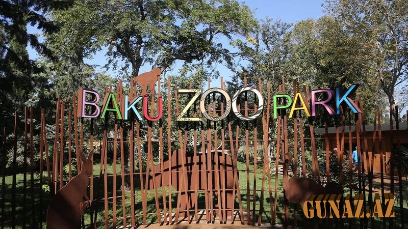 Bakı Zooloji Park açıldı- İlk qonaqlar onlar oldu