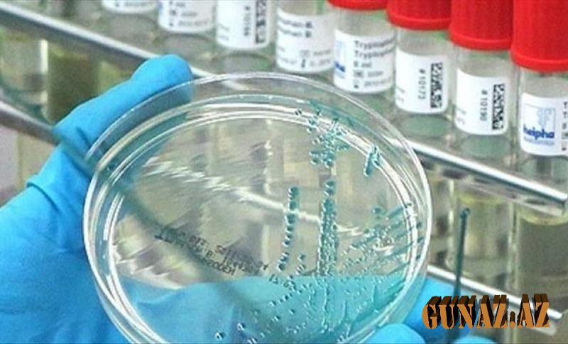 Alimlərdən yeni mutasiya ilə bağlı xəbərdarlıq