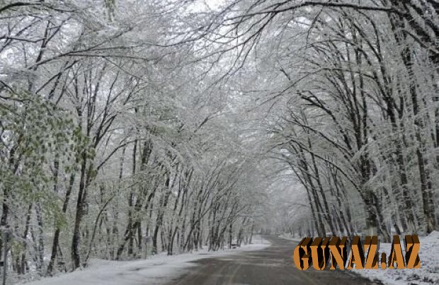 Gədəbəyə qar yağdı
