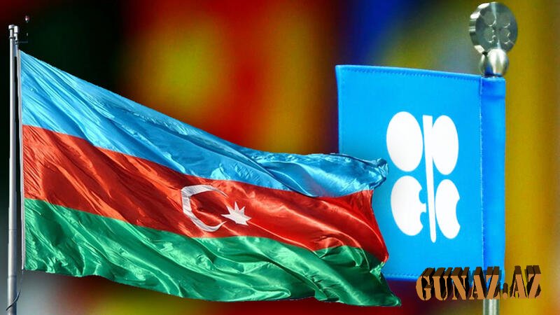 Azərbaycan OPEC-in qərarını dəstəklədi