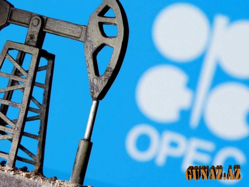 OPEC-ə yeni sədr seçildi