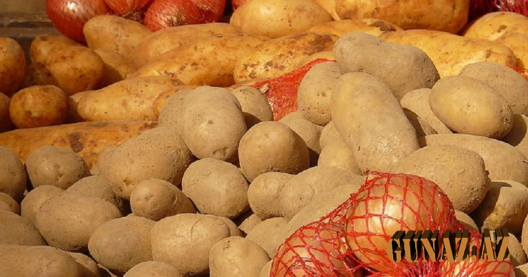 Kartof və soğanın bahalaşmasının səbəbi AÇIQLANDI