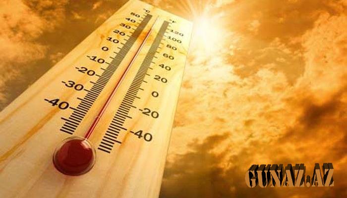 Rekord istilər 25 can aldı