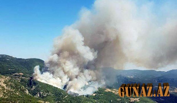 Türkiyədə meşədə güclü yanğın hələ də davam edir