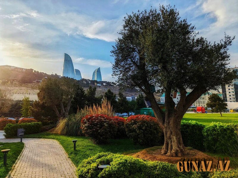 Sabah güclü külək əsəcək