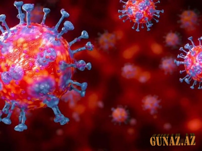 Günün koronavirus statistikası açıqlandı