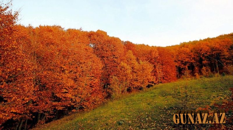 Sabahın havası açıqlandı
