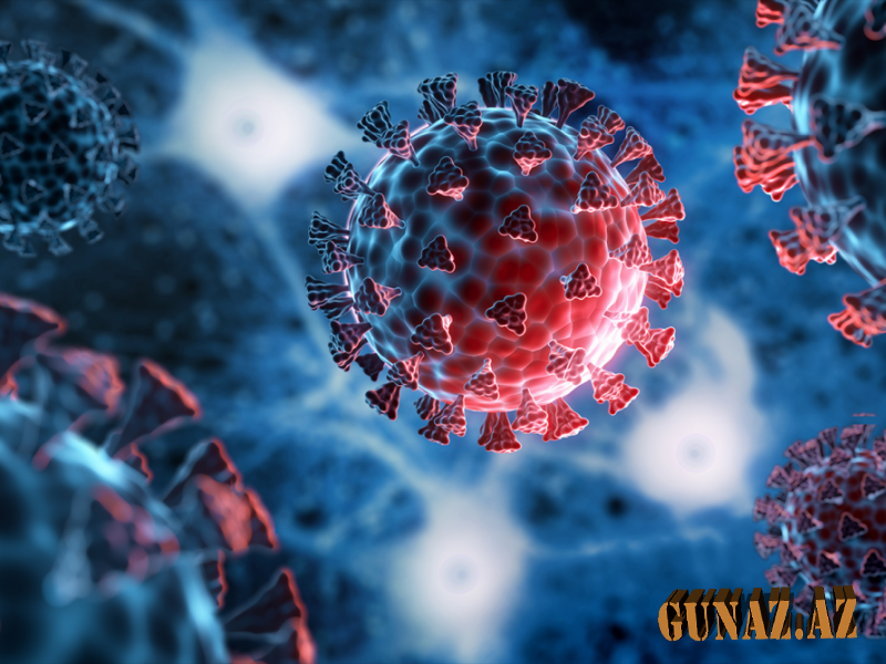 Günün koronavirus statistikası açıqlandı