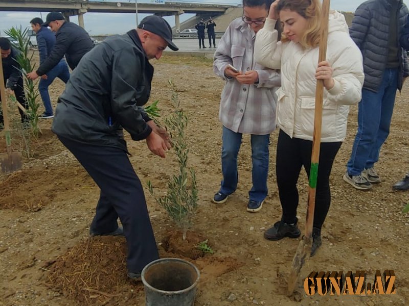44 günlük qələbəyə həsr olunmuş KOMPANİYA
