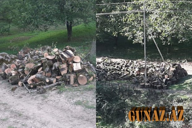 Sosial şəbəkələrdə yayılan bu görüntüyə rəsmi münasibət