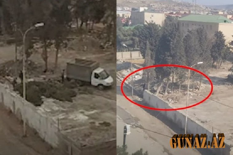 Lökbatanda kəsilən ağacların cavabını kim verəcək?