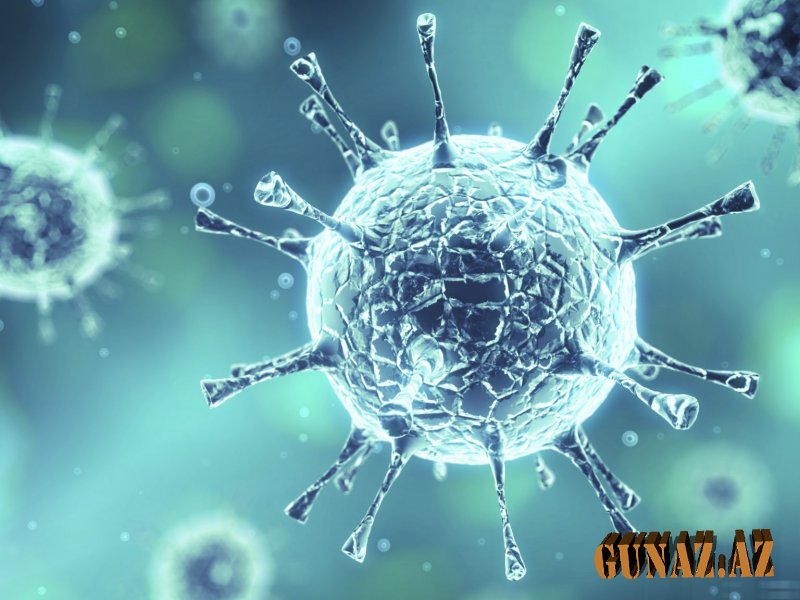 Günün koronavirus statistikası açıqlandı