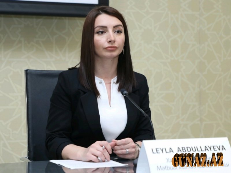 Leyla Abdullayeva fransalı deputatlara çağırış etdi