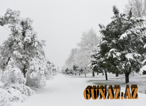 Bu gün Azərbaycana yenidən qar yağacaq