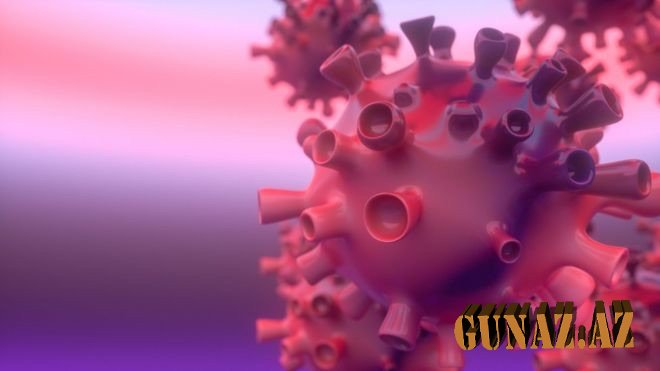 Günün koronavirus statistikası açıqlandı