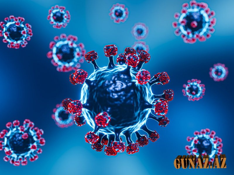 Günün koronavirus statistikası açıqlandı