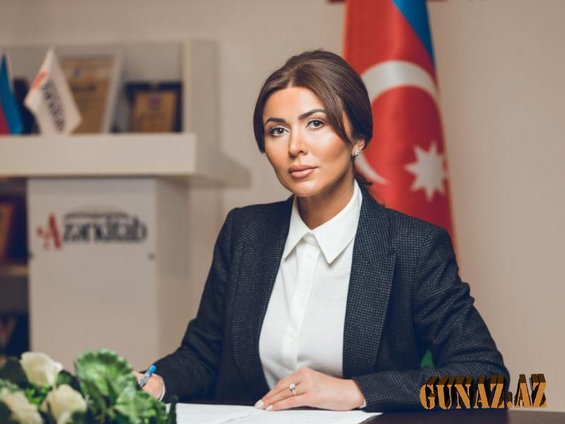 Əsli Kazımova: "Siyasi sistemin təkmilləşməsi vacib məsələdir"