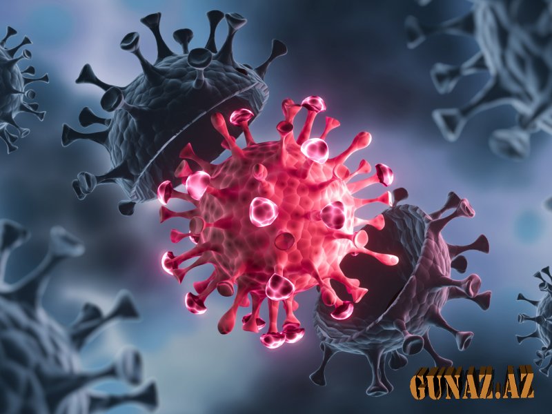 Günün koronavirus statistikası açıqlandı