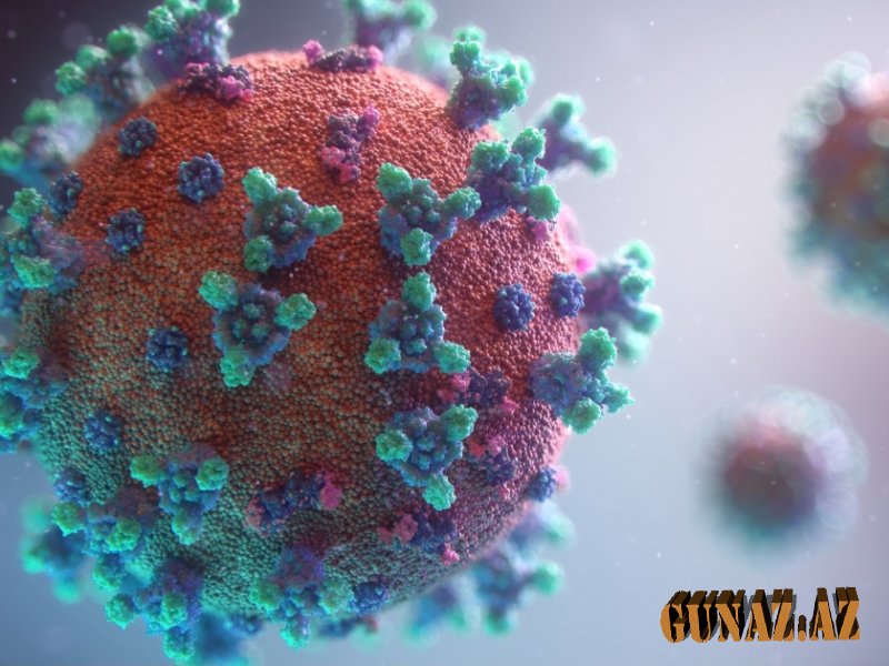Günün koronavirus statistikası açıqlandı