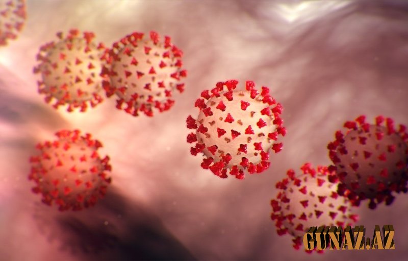 Günün koronavirus statistikası açıqlandı