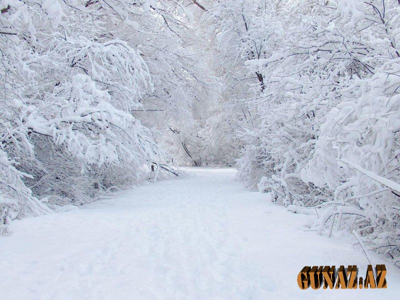 Hava ilə bağlı XƏBƏRDARLIQ